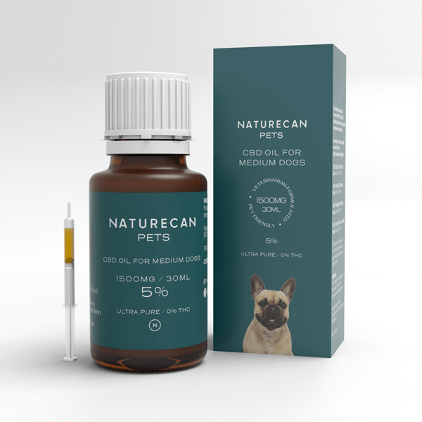 CBD olía fyrir hunda