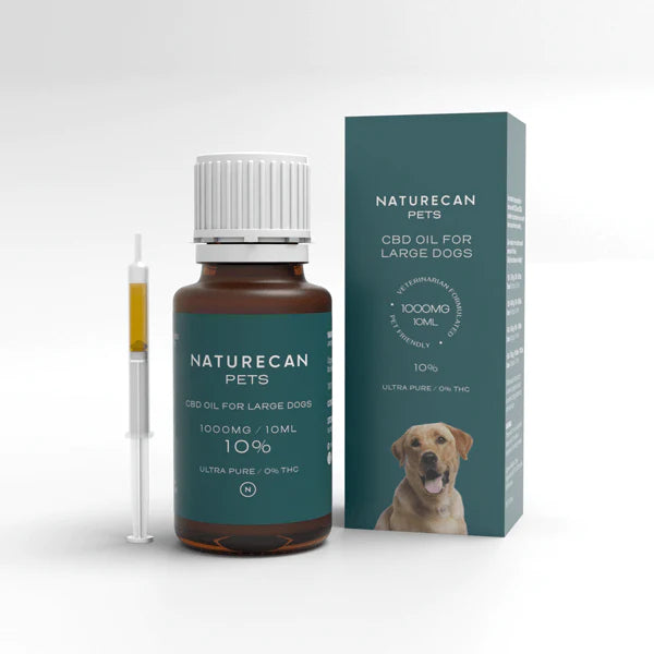 CBD olía fyrir hunda - 10%