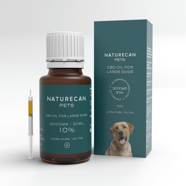 CBD olía fyrir hunda